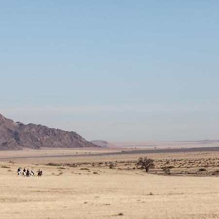 ססריאם Desert Homestead Lodge מראה חיצוני תמונה
